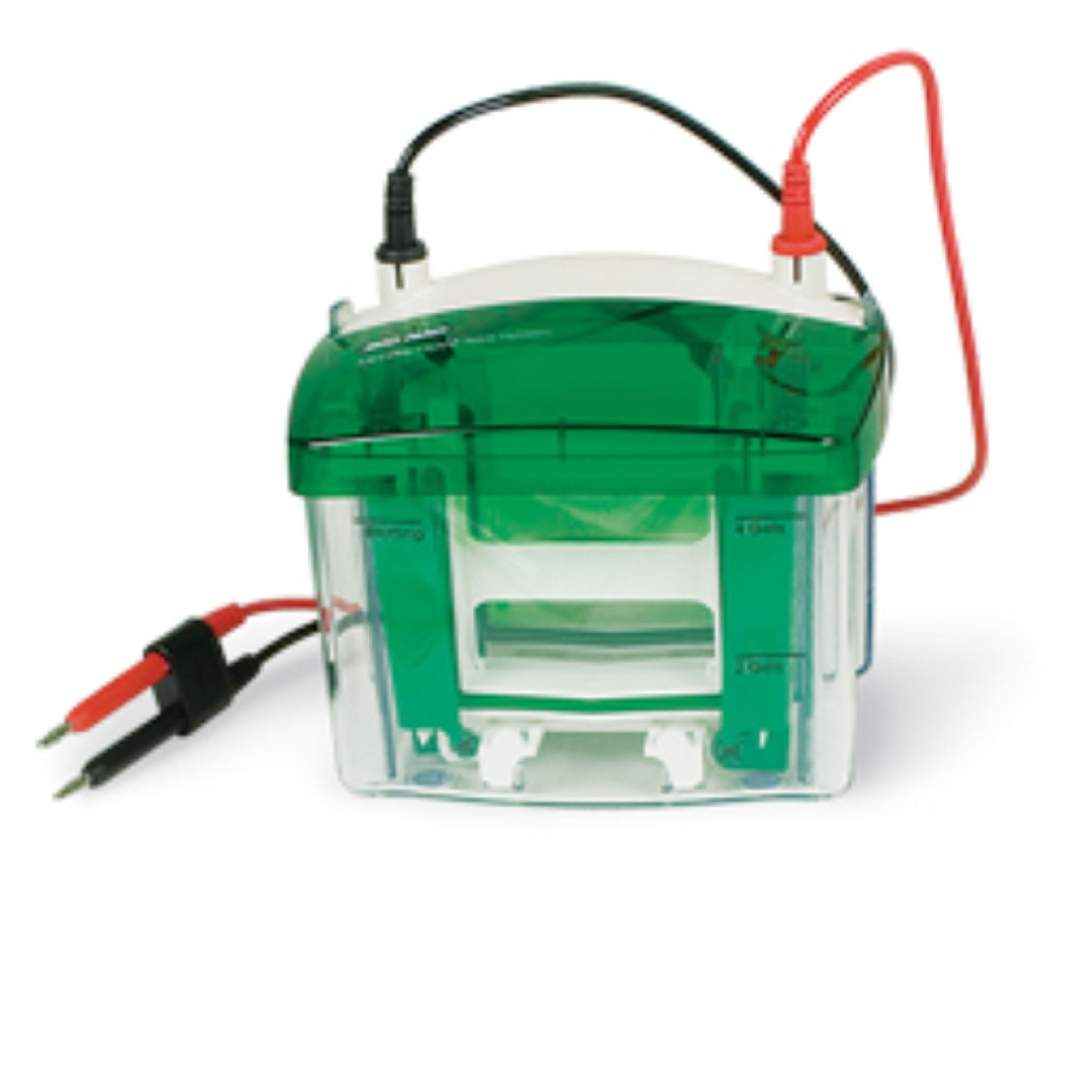 用于小型预制胶的 Mini-PROTEAN Tetra 垂直电泳槽，4 块凝胶 Mini-PROTEAN Tetra Vertical Electrophoresis Cell for Mini Precast Gels, 4-gel